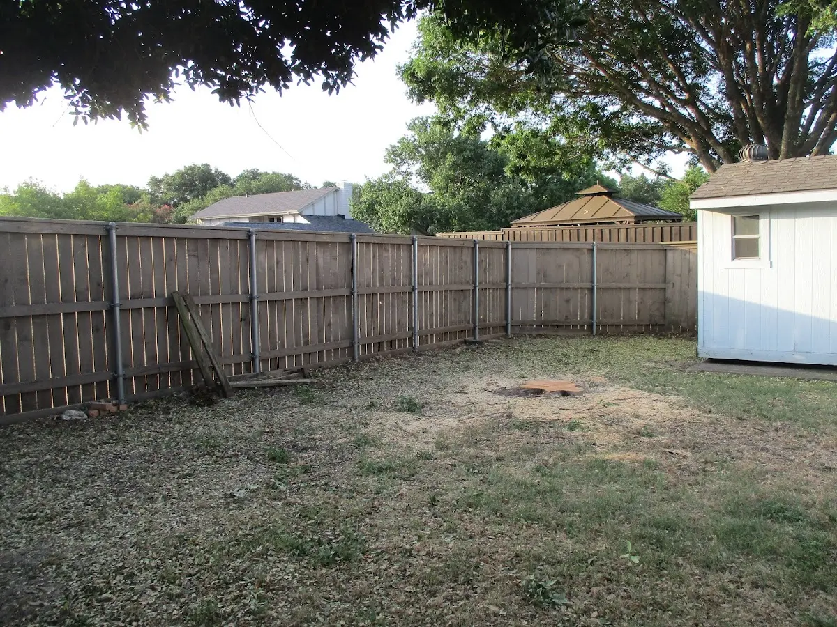 Cleared yard after professional tree removal in Tranquillity